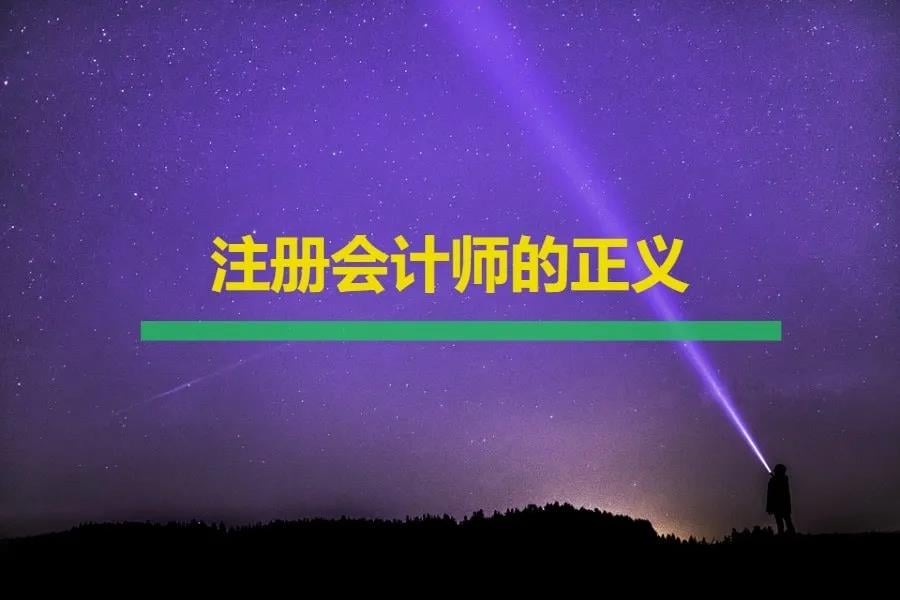 深圳堂堂会计师事务所｜注册会计师的正义